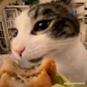 Meet your Posher, Maddie